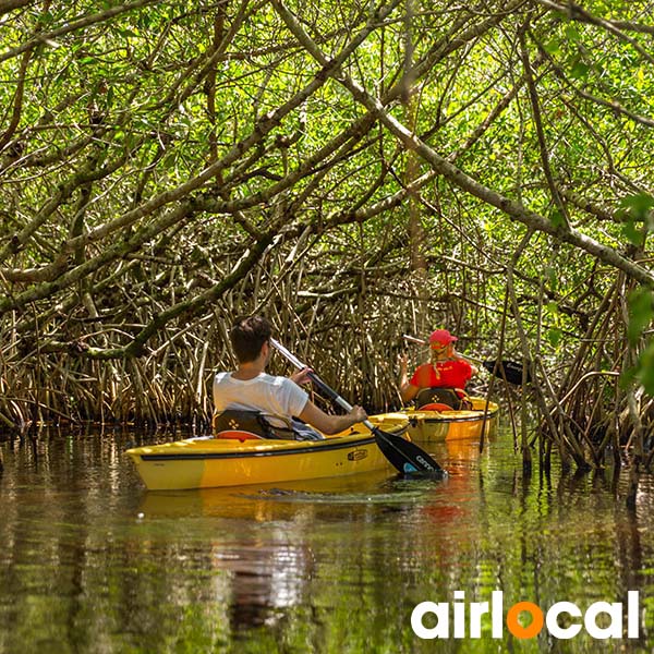 Kayak mangrove martinique