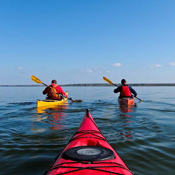 Kayak mangrove martinique