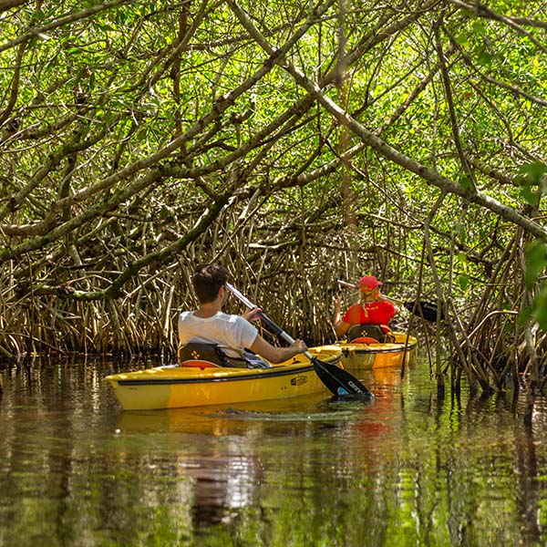 Kayak de mer martinique