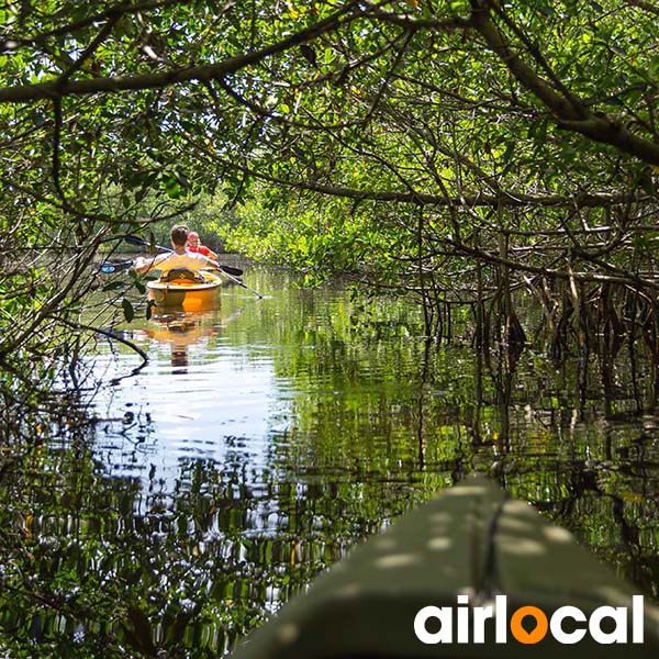 Kayak mangrove martinique