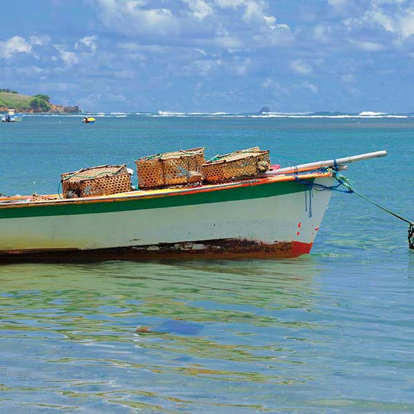 Peche a la ligne martinique