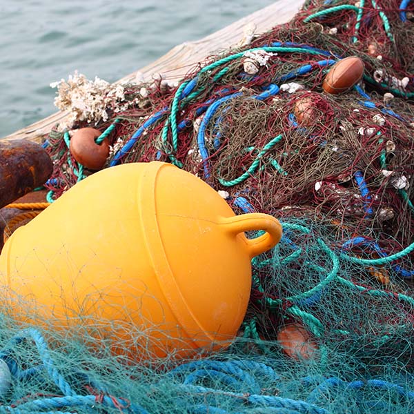 Sortie peche en mer martinique