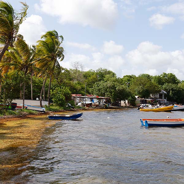 Sortie peche en mer martinique