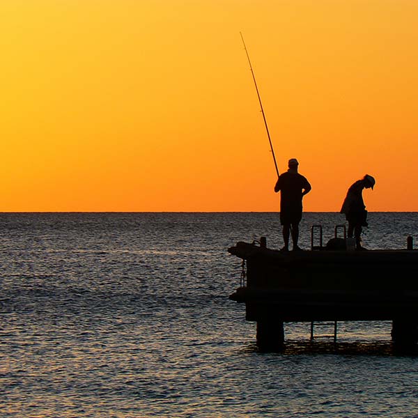 Peche dcp martinique