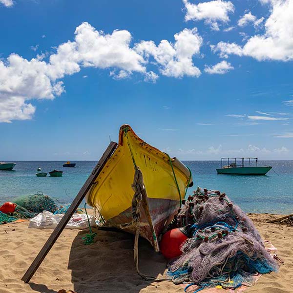 Sortie peche en mer martinique