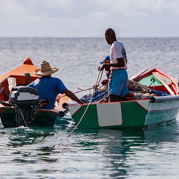 Peche jig martinique