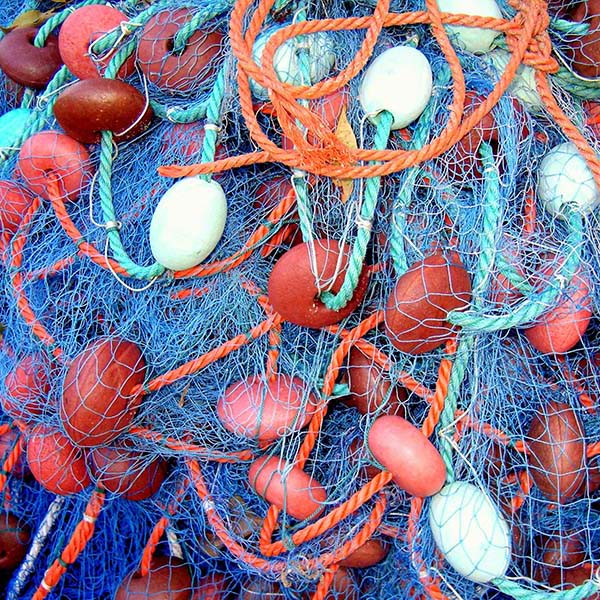 Peche a la ligne martinique