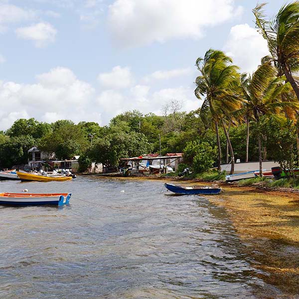 Peche a la ligne martinique