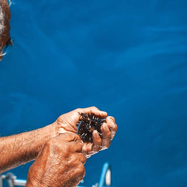 Peche sous marine martinique