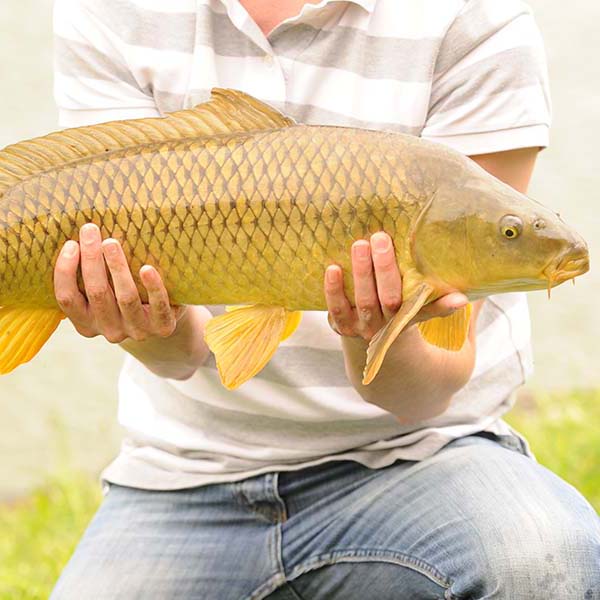 Peche sportive martinique