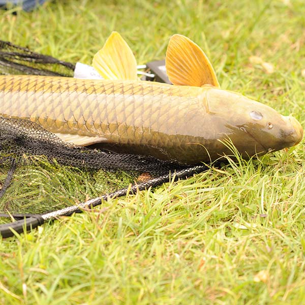 Peche sportive martinique