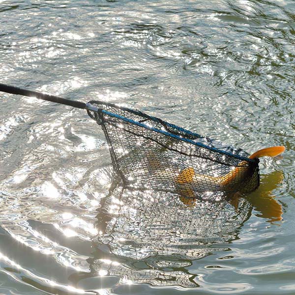 Peche sportive martinique