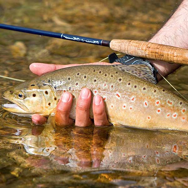 Peche sportive martinique