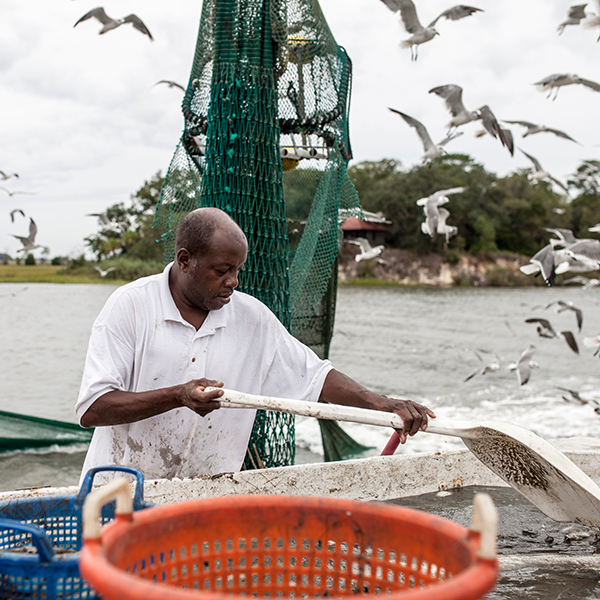 Peche surfcasting martinique