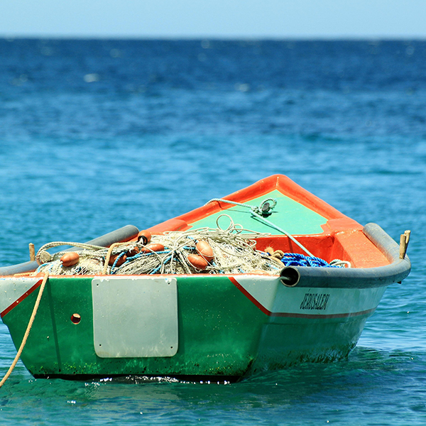 Sortie pêche martinique