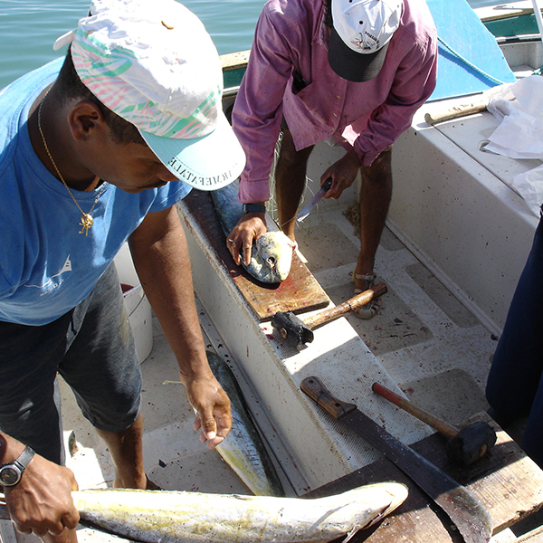 Sortie pêche martinique