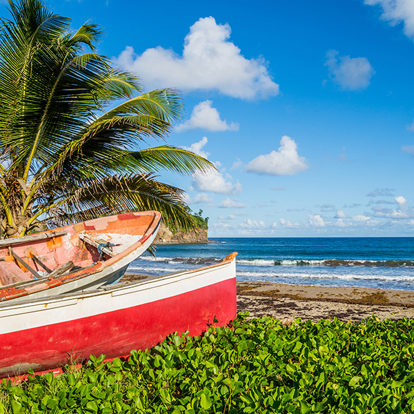 Ou pecher en martinique