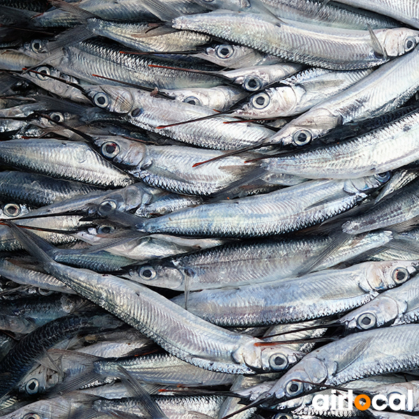 Poisson peche en martinique