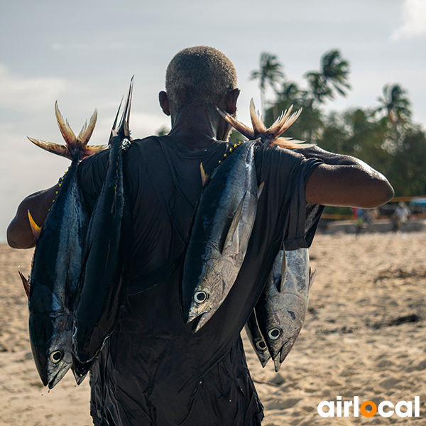 Comment pecher en martinique