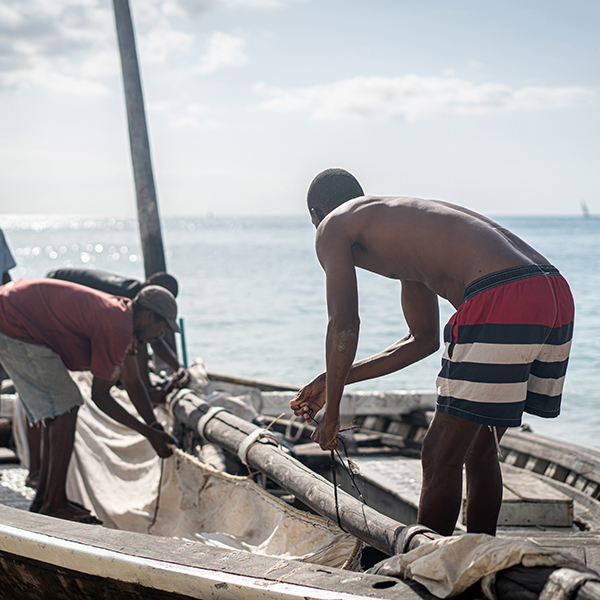 Pêche à la senne martinique