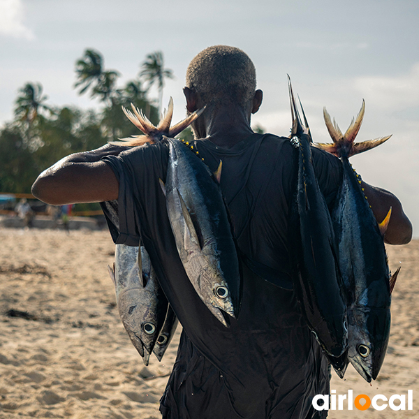 Pêche à la senne martinique