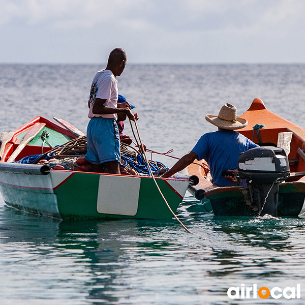 Poisson martinique pêche