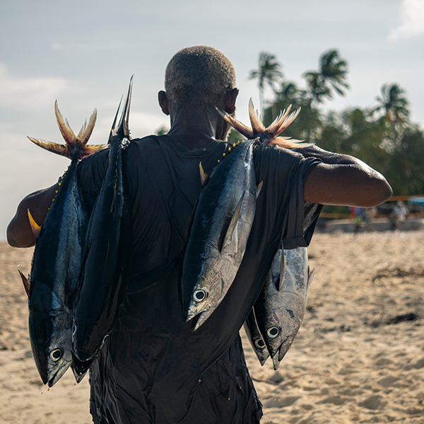 Comment pecher en martinique