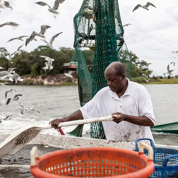 Peche du bord martinique