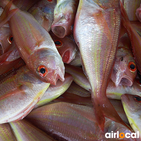 Pêche à la senne martinique