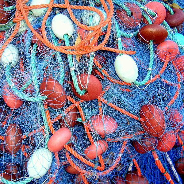 Poisson martinique pêche