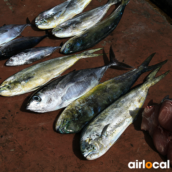 Sortie pêche martinique