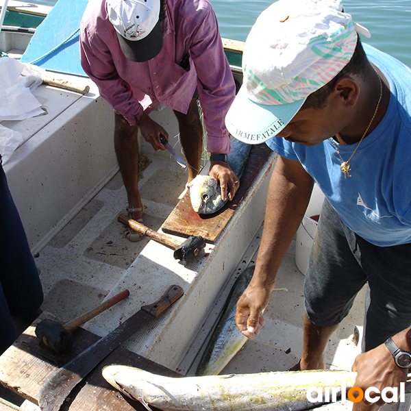 Sortie peche martinique