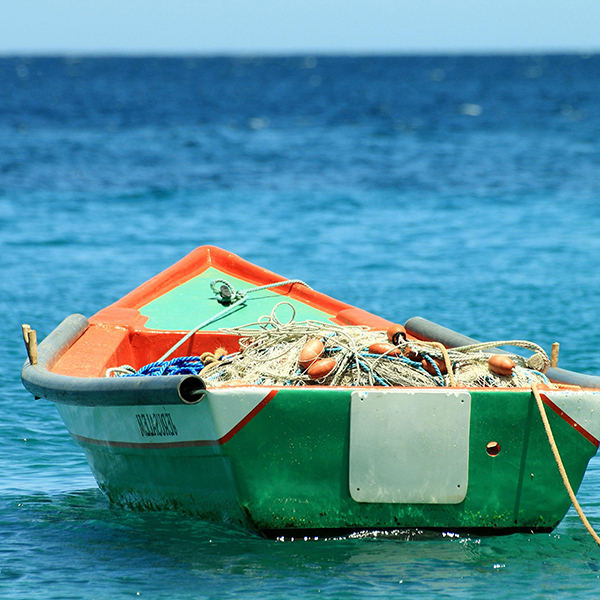 Sortie pêche martinique