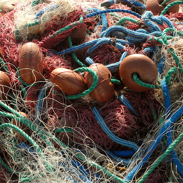 Pêche à la senne martinique