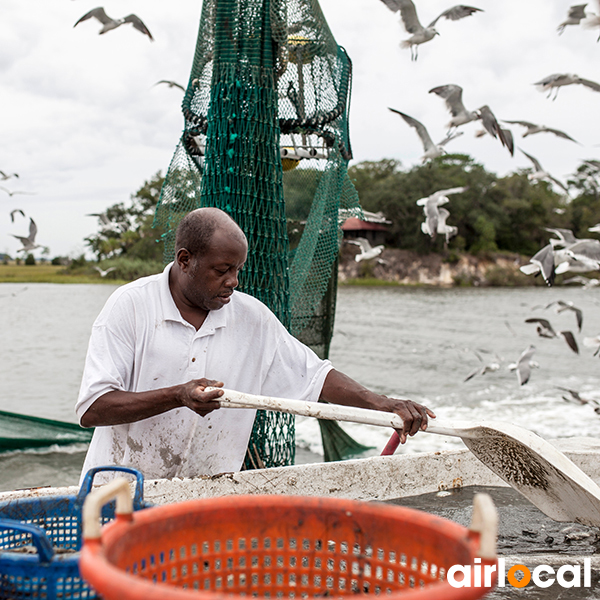 Pêche à la senne martinique