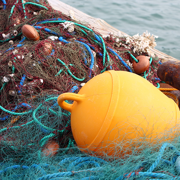 Pêche à la senne martinique