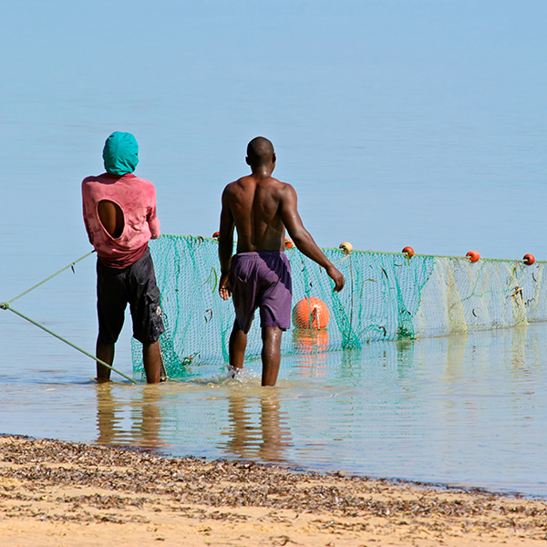 Poisson martinique pêche