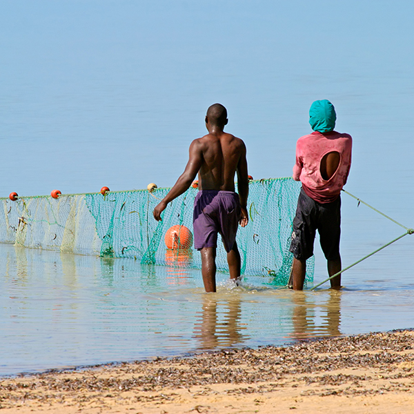 Sortie pêche martinique