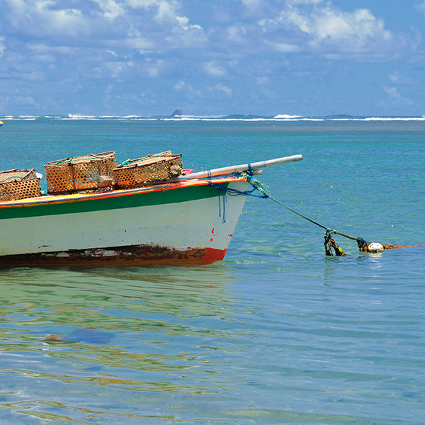 Peche du bord martinique