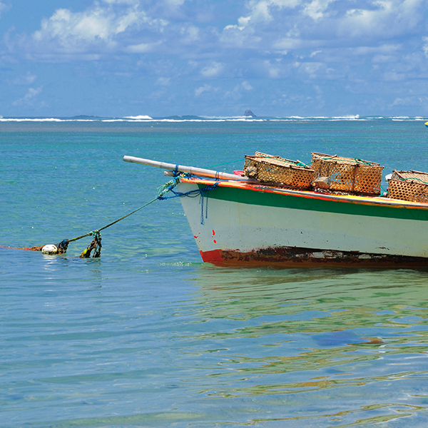 Sortie pêche martinique