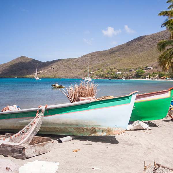 Pêche à la senne martinique