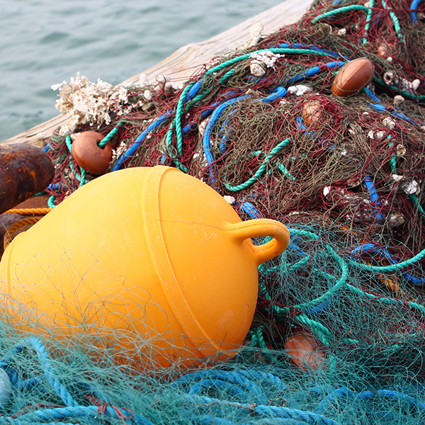 Sortie pêche martinique