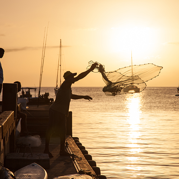 Pêche à la senne martinique