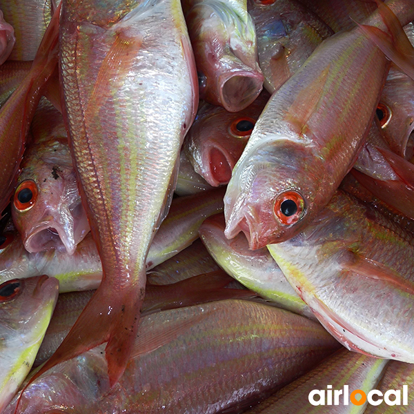 Poisson martinique pêche