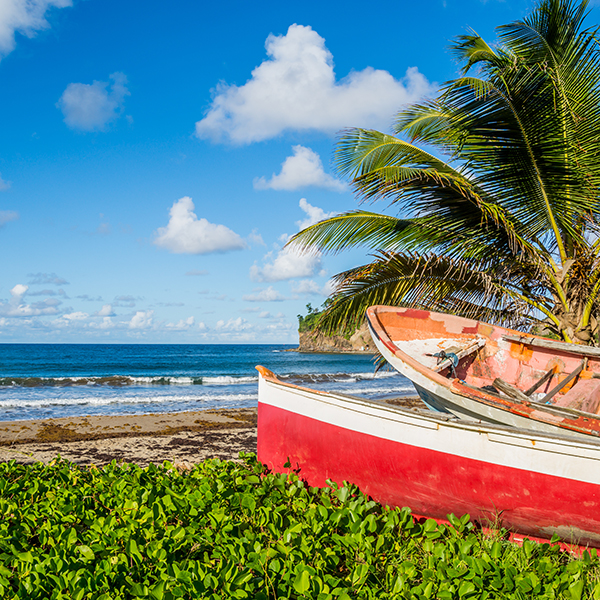 Peche du bord martinique