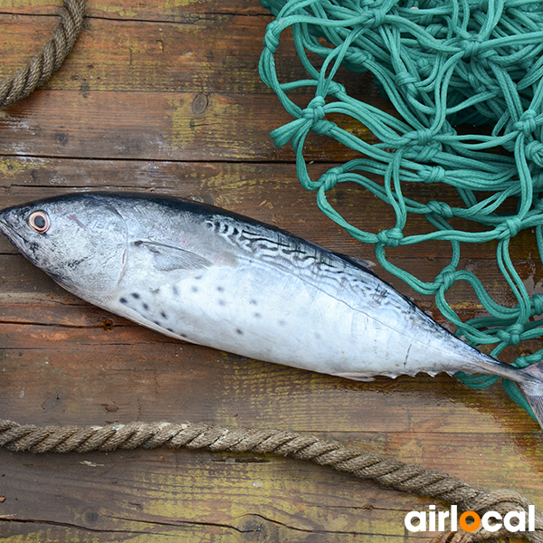 Pêche à la senne martinique