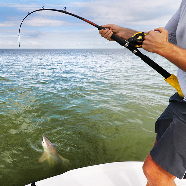 Peche tarpon martinique