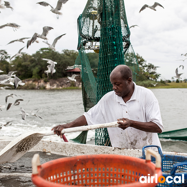 Sortie pêche martinique