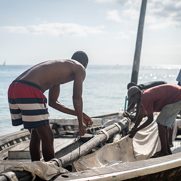 Pêche à la senne martinique