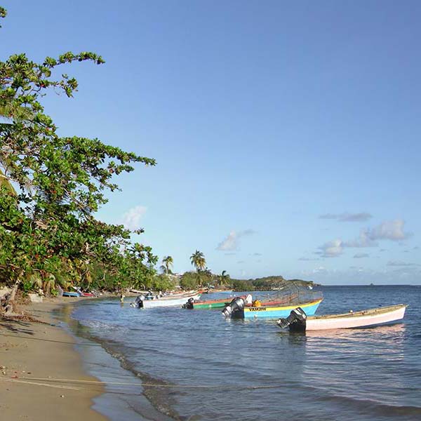 Peche a la senne martinique